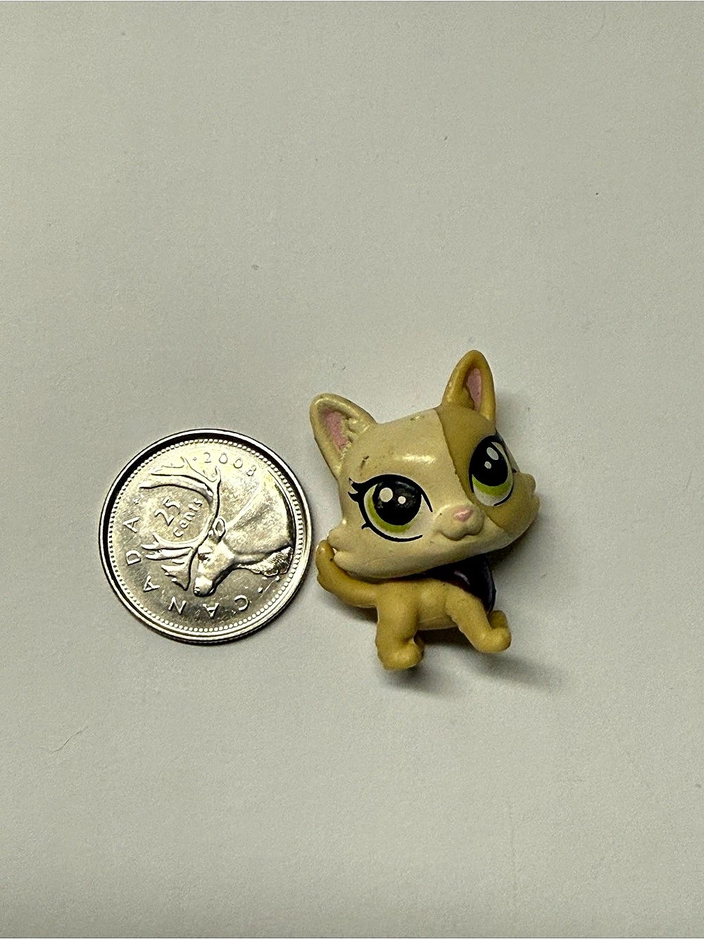 Hasbro Littlest Pet Shop Shorthair Baby Cat Kitten Yellow & Purple Figurine